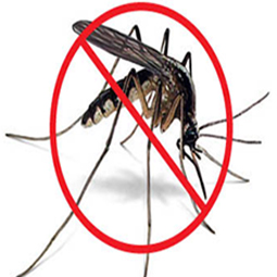 Mosquito Control