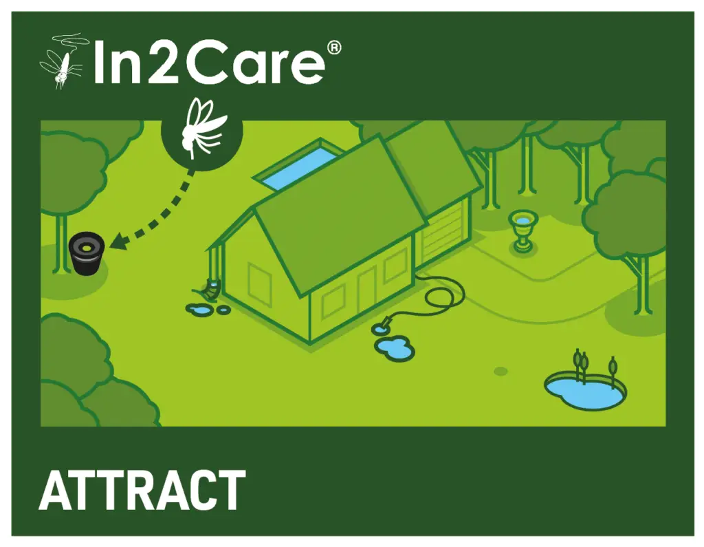 Mosquito Control 2 In2Care GIF Visual autodissemination